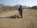 image0117